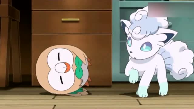 神奇宝贝:小智换来一只白色六尾!突然扔出两个精灵球!吓到六尾!