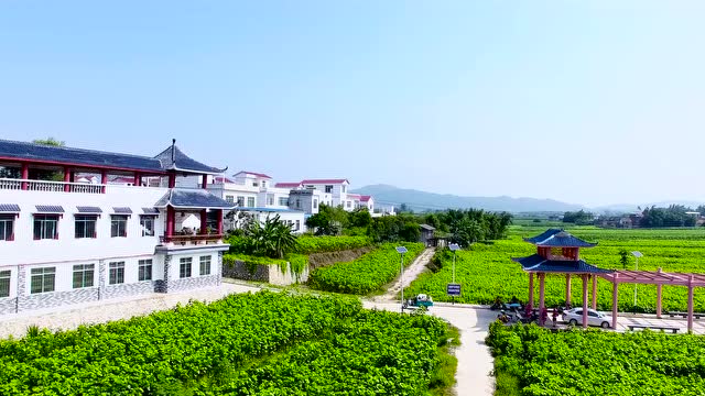 柳城县禅韵丝缘现代农业示范园区宣传片