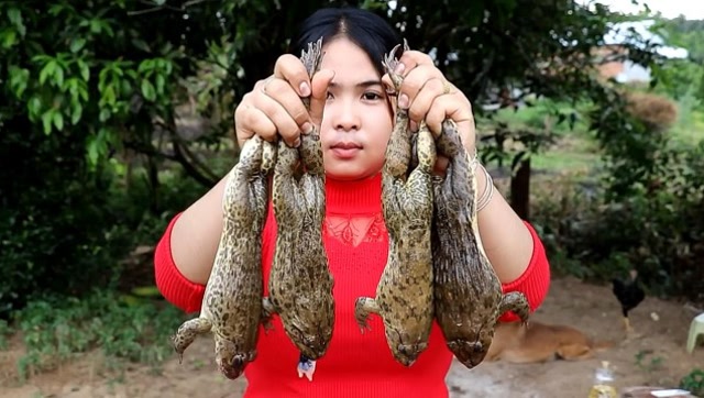 农村:抓了四只大牛蛙,小姐姐做了一顿丰盛的午餐