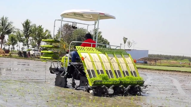 水稻插秧还用人力?这台自动插秧机一天等同于16人同时作业一天!