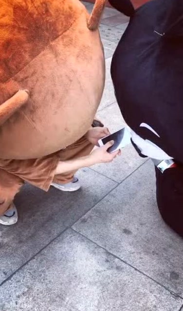 两只网红熊玩手机游戏,看到最后,笑得我肚子疼!