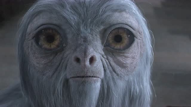 隐形兽一直在照顾鸟蛇,却因为一个失误,瞬间对人类攻击