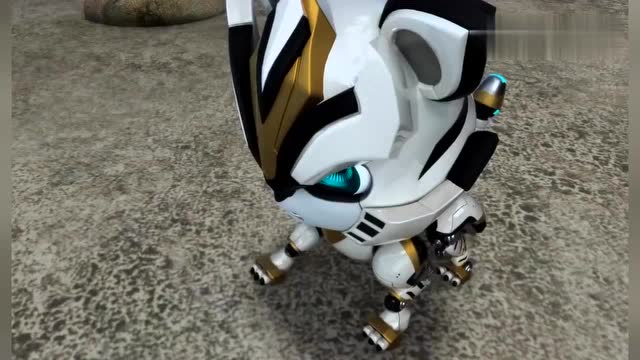 猪猪侠之超星萌宠:钢齿虎出现,猪猪侠才发现自己被耍了