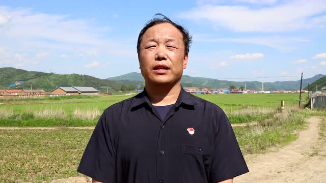 安图县石门镇镜城村第一书记黄保东代言大米