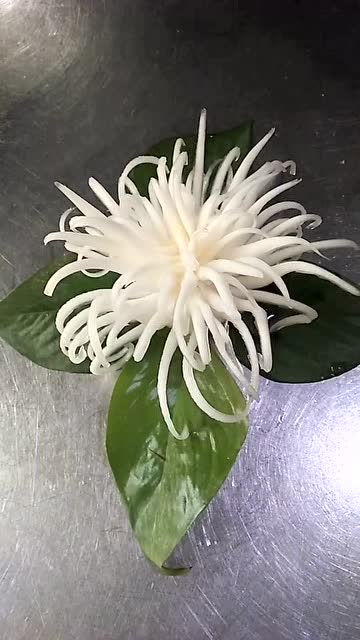 最近这个视频火了!白菜菊花刻出不一样的美