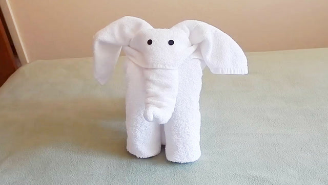 毛巾折叠大象步骤图片
