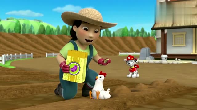 汪汪队 小丽在帮助农夫优美种豆子可是巨人雅丽调皮的在地里走