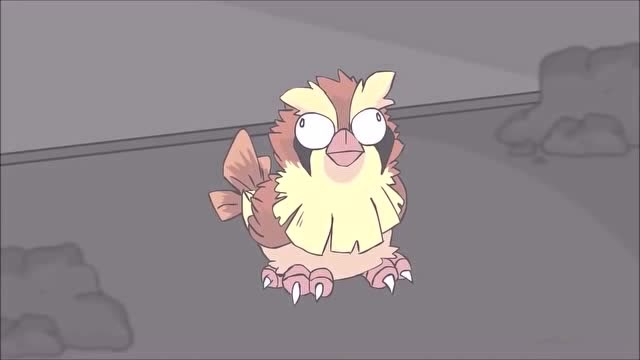 《破产版神奇宝贝》小智用波波挑战小刚的大岩蛇?