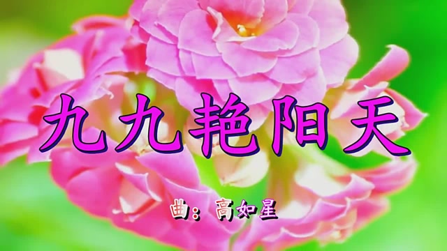 爆火网络!《九九艳阳天》还是老歌好听,棒极了