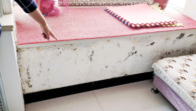 家具受潮发霉怎么办?聪明人都这样处理,简单实用还省钱!