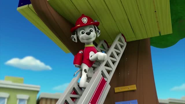 汪汪队立大功:莱德想办法,鼓励小男孩去看牙医