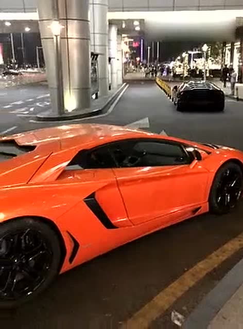 橙色剪刀门大牛与黑色盖拉多