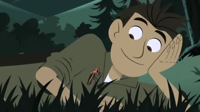 动物兄弟:多尼塔忙着画设计图,有虫子飞进来惹得多尼塔不开心