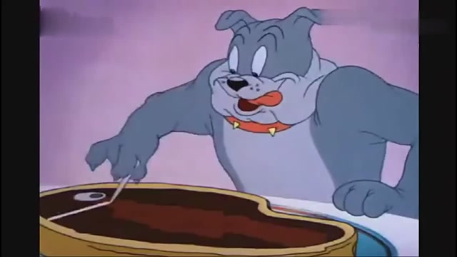 猫和老鼠:诺贝尔和平奖获得者斯派克!和平能维持多久?