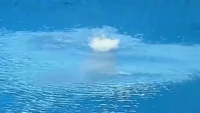 这入水水花可以说相当完美!跳水皇后郭晶晶果然实力非凡!