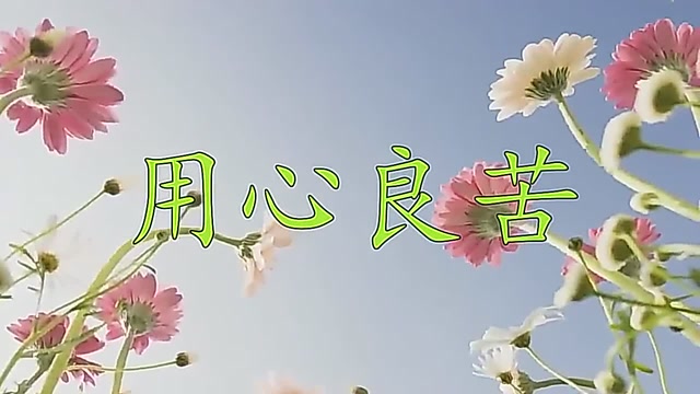 孙露的《用心良苦》用心感受,才听得懂那首歌的韵味