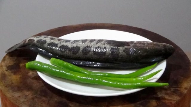 教你黑鱼最好吃的做法,做出来的鱼特别鲜,做法简单但很好吃