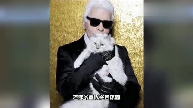 香奈儿老佛爷葬礼举行,网友:13亿遗产归一只猫?