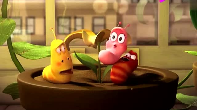 爆笑虫子:哈喽,pink!是恋爱的感觉