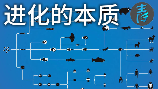 进化的本质是什么?我们会像神奇宝贝那样进化吗