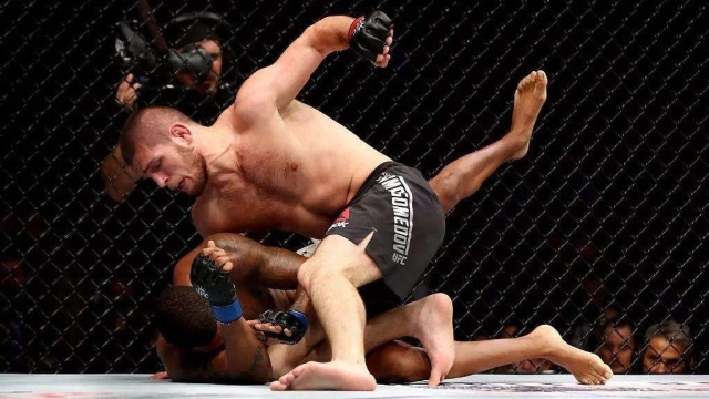 ufc被人忽略的全面高手小鹰哈比布,号称站立与地面的综合体