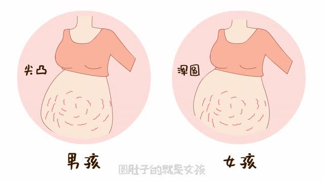 生男孩女孩肚子形状图图片