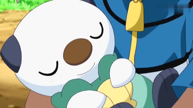 精灵宝可梦:水水獭找回了自己的扇贝贝,但是它也太累晕倒了