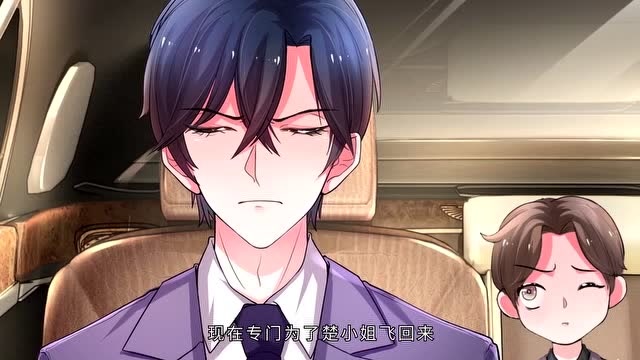 影后谋略:楚辞逃离医院,差点被车撞上,原来是撞她的人是荆南