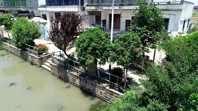 重固章堰村崧泽湾201905