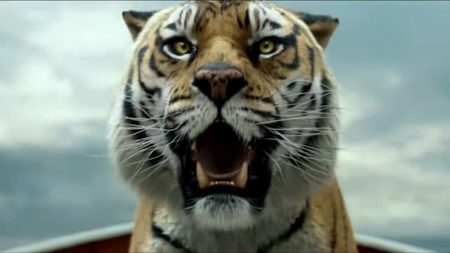 少年派的奇幻漂流老鼠跳到少年头上求生少年却把它扔老虎嘴里