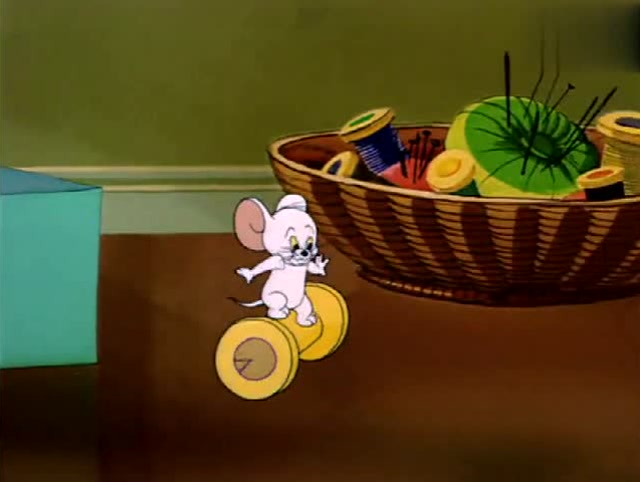 猫和老鼠:主人买回来的小白鼠太可爱了