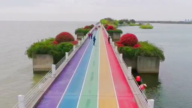 无锡贡湖湾湿地公园彩虹跑道