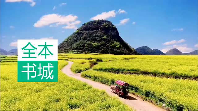 入门赘婿林阳苏颜,第一豪婿免费全集