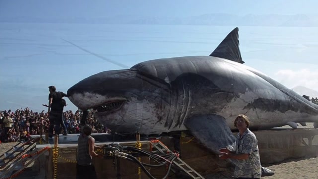 国外惊现巨型鲨鱼体长超10米重达1吨吸引路人围观