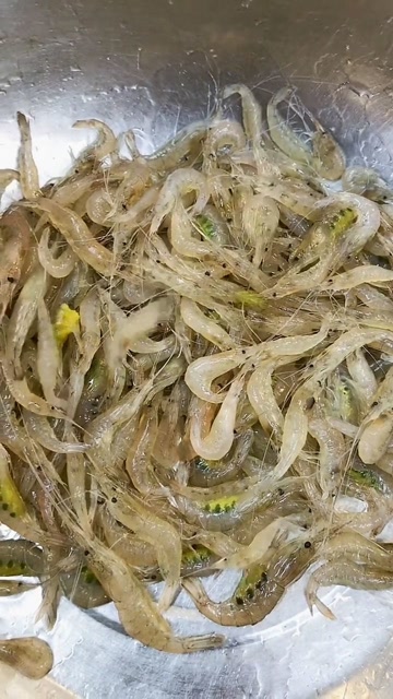 教大家做一个生卤小河虾,这么做味道特别的鲜美