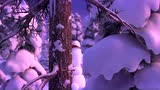 【中英】《冰雪奇缘》番外小短片“和雪宝一起宅在家”第十八集“爱好”@迪幻字幕组