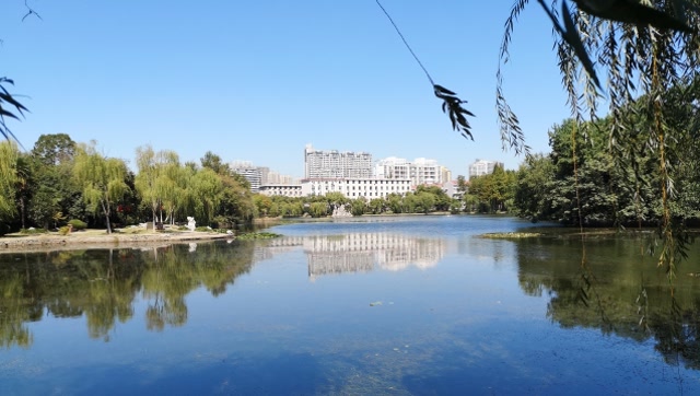 实拍合肥工业大学斛兵塘,想不出好的标题,就是美!