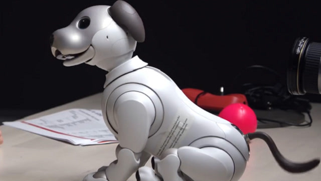 需喂食就能陪伴左右的高科技产物,呆萌仿生机器狗,网友:很拉风的宠物!