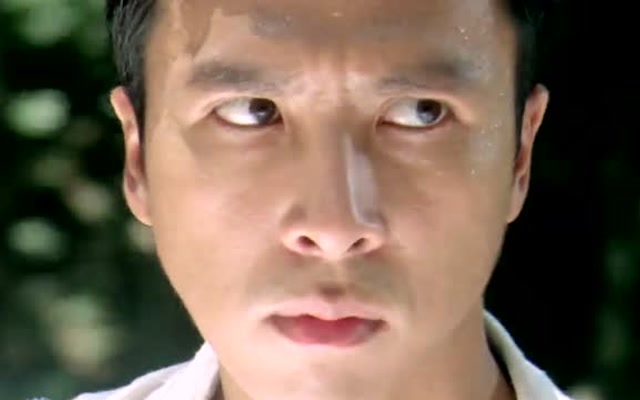 战狼传说精彩片段甄子丹武打片就是经典