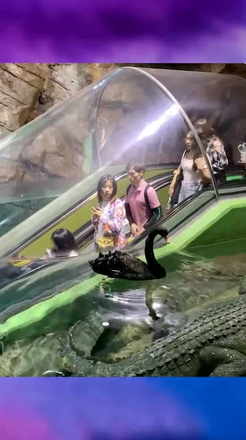 中国制造就是牛,见识一下我国的水下电梯,真是厉害了我的国