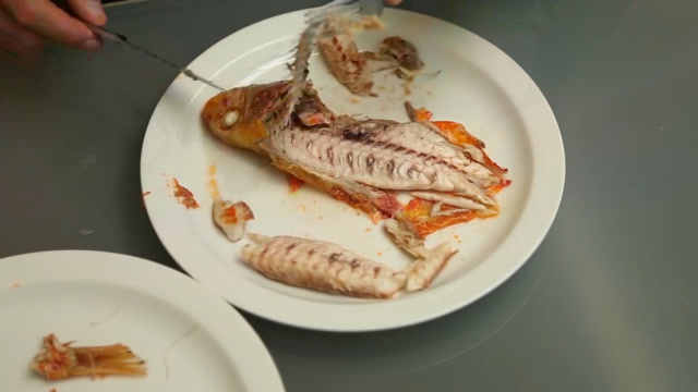 极品海鬼鱼惊艳到老外,不过吃的时候还要分类