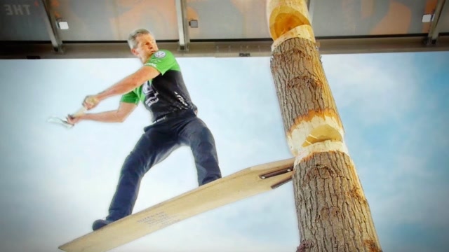 光头强也赶不上的伐木速度!外国伐木工大赛,连砍树都赏心悦目