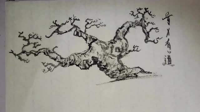 岭南盆景三角梅老桩盆景鸡爪枝出枝