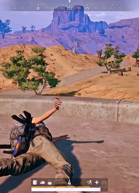 绝地求生:大佬玩单人四排太狠,直接就被举报了