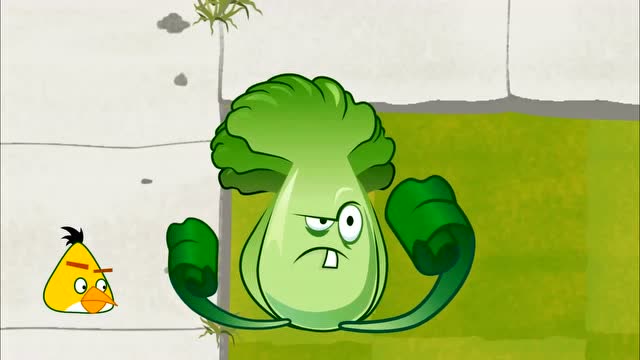 植物大战僵尸:菜问投掷各种愤怒的小鸟打僵尸