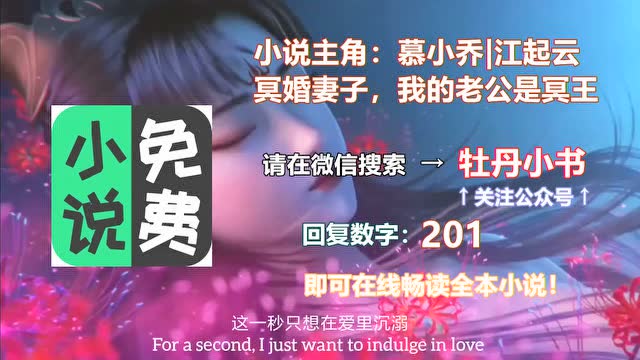 《冥婚妻子:我的老公是冥王》慕小乔江起云,免费阅读