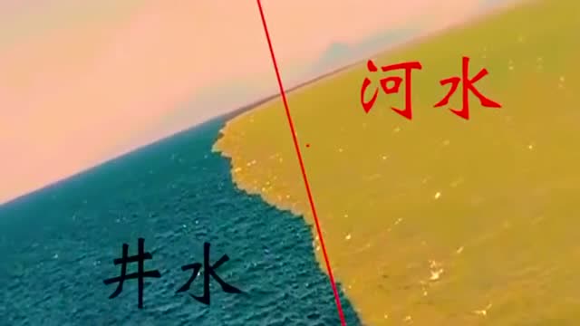 传说中的井水不犯河水,像极了我爱吃的鸳鸯锅,大自然简直太神奇了!