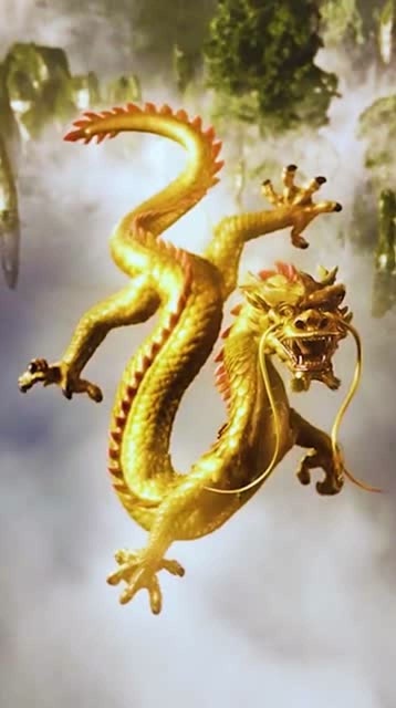 五爪金龙和金孔雀,不仅能带来好运,还能趋吉避凶