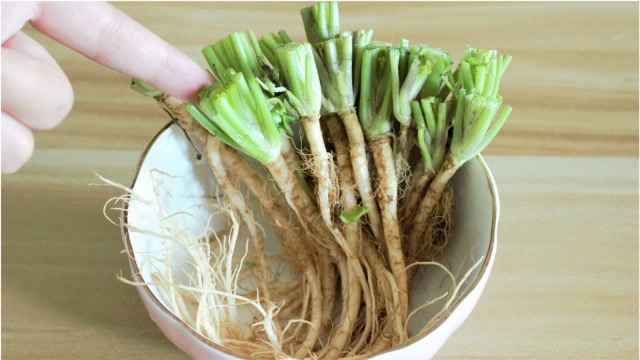 香菜根千万别扔了,用水泡一泡,每天喝一杯,原来作用这么厉害