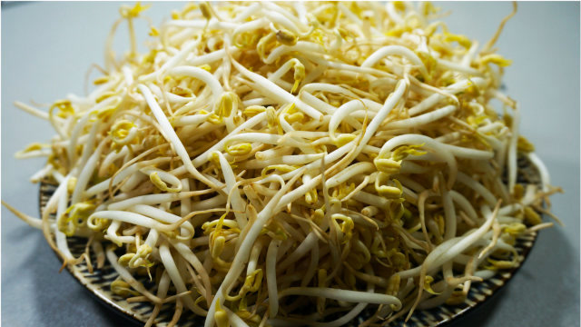 豆芽我就爱吃这个笨豆芽,脆嫩可口做法简单,非常下饭,快来尝尝吧